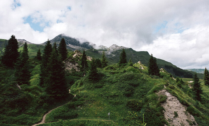 Grüne Berglandschaft